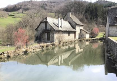 French water mill for sale