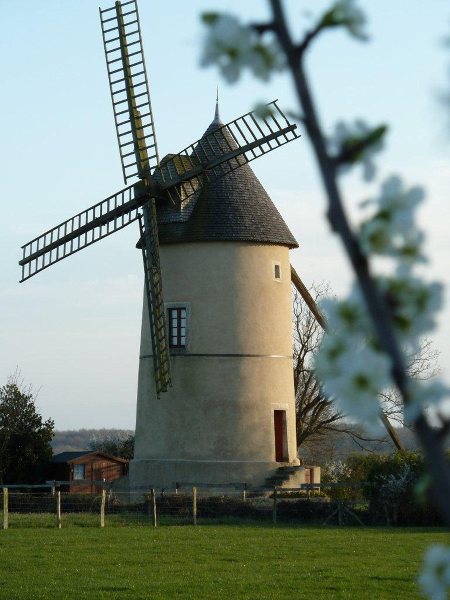 French windmill
                      home for sale