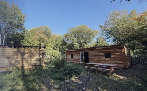 Woodland for sale