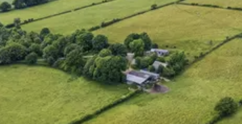 Farm and buildings for sale