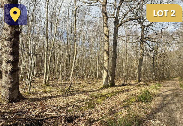 Woodland for sale