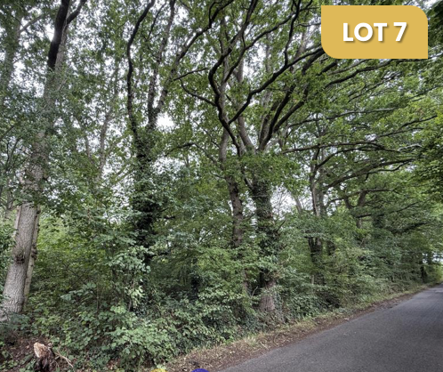 Woodland for sale