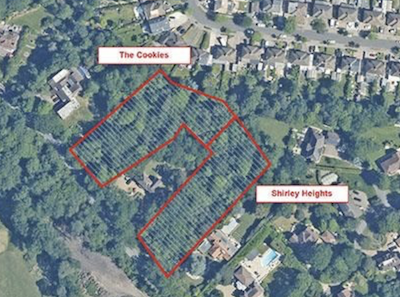 Woodland building site for sale