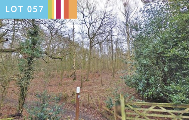 Woodland building site for sale